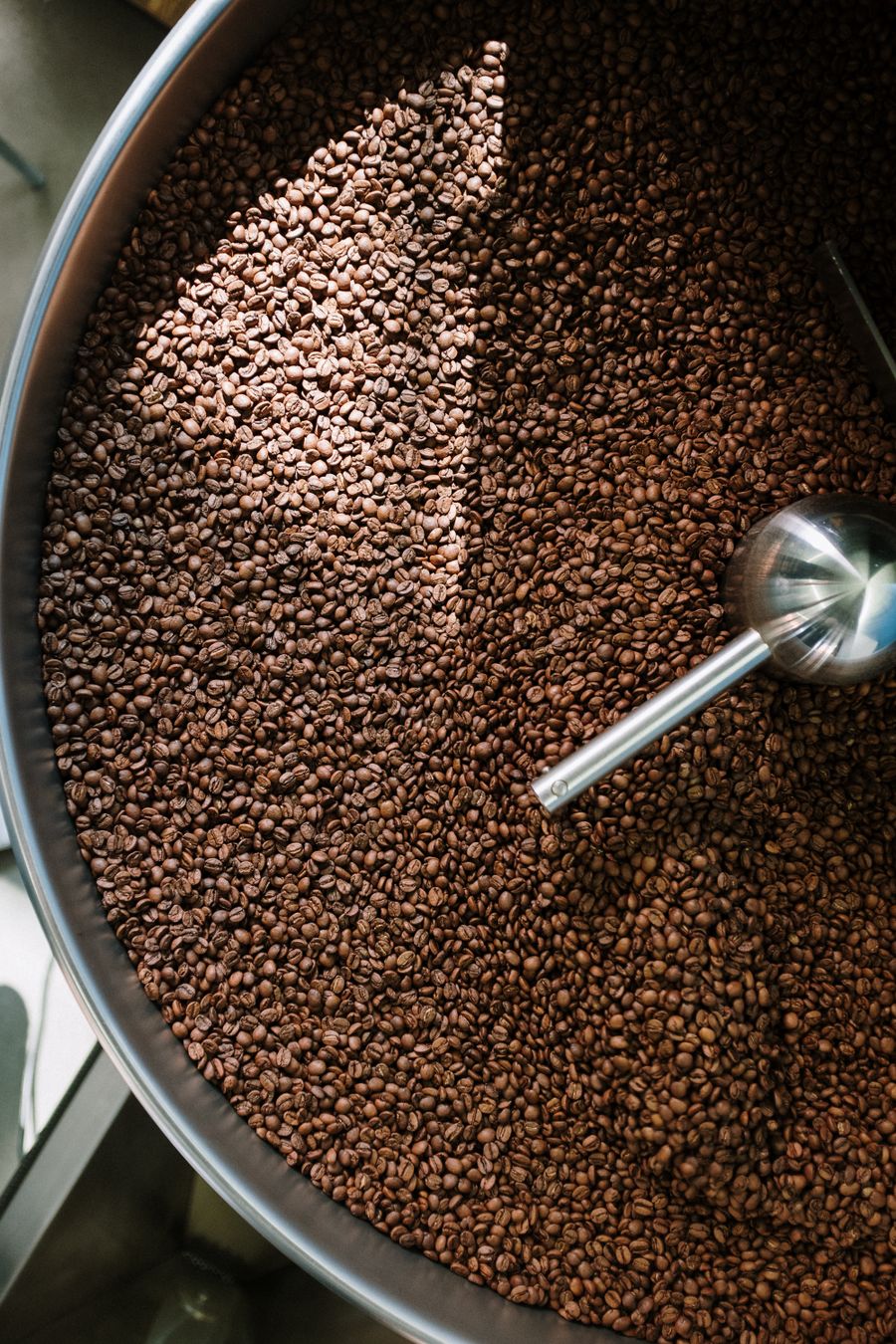 Coffee beans in a roasting drum