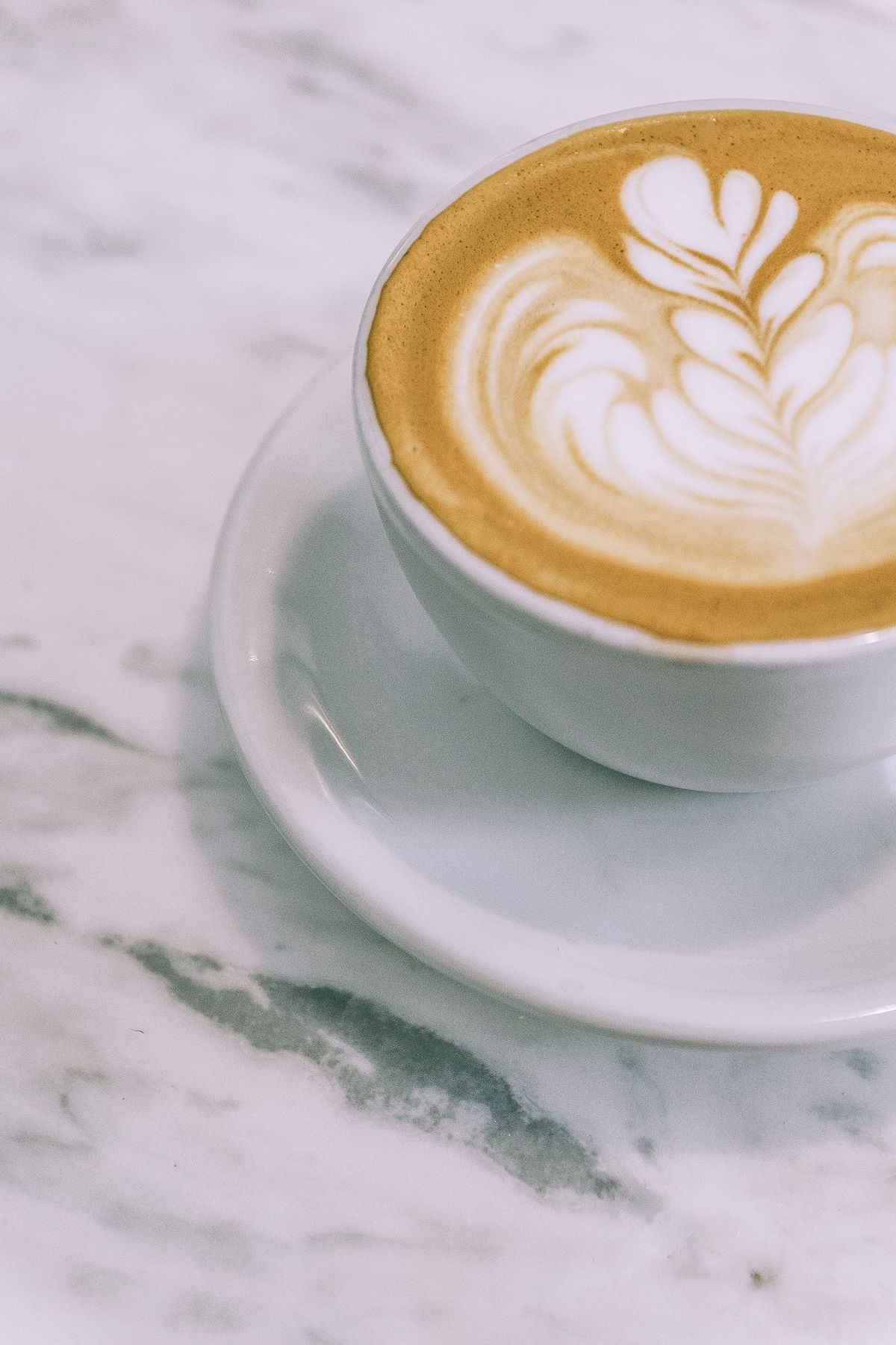 Latte art in a white cup on a marble counter at miau coffee